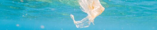 Plastik I Havet Undgå Plast Og Mikroplast I Verdenshavene