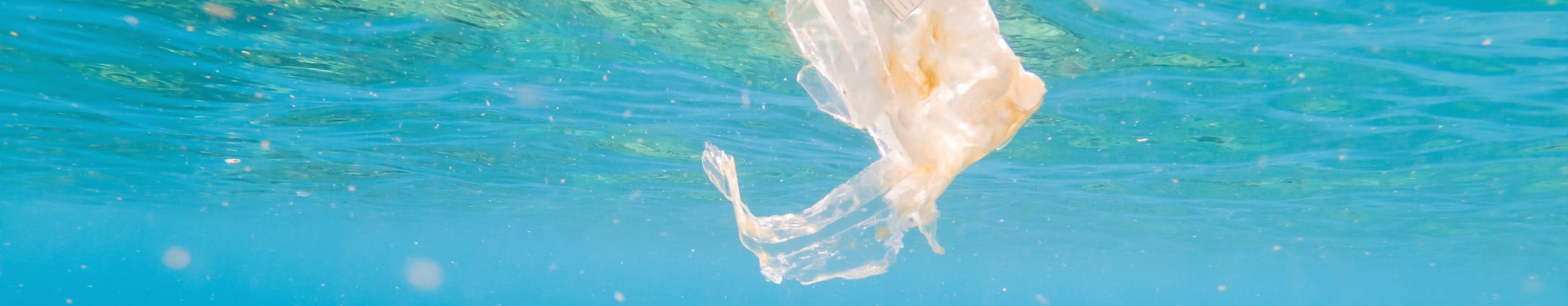 Plast og mikroplast i havet